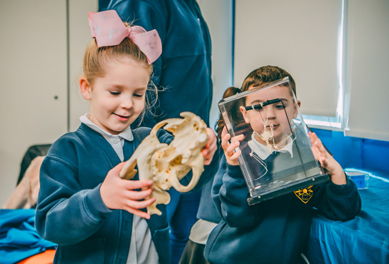 1908 D&L EO 159(Education Officers, Workshops, Zoo)