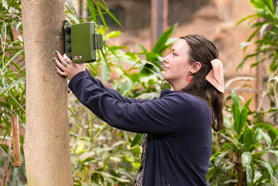 2025 07 Rebecca Lewis Bioacoustics Copyrightczdsc00139