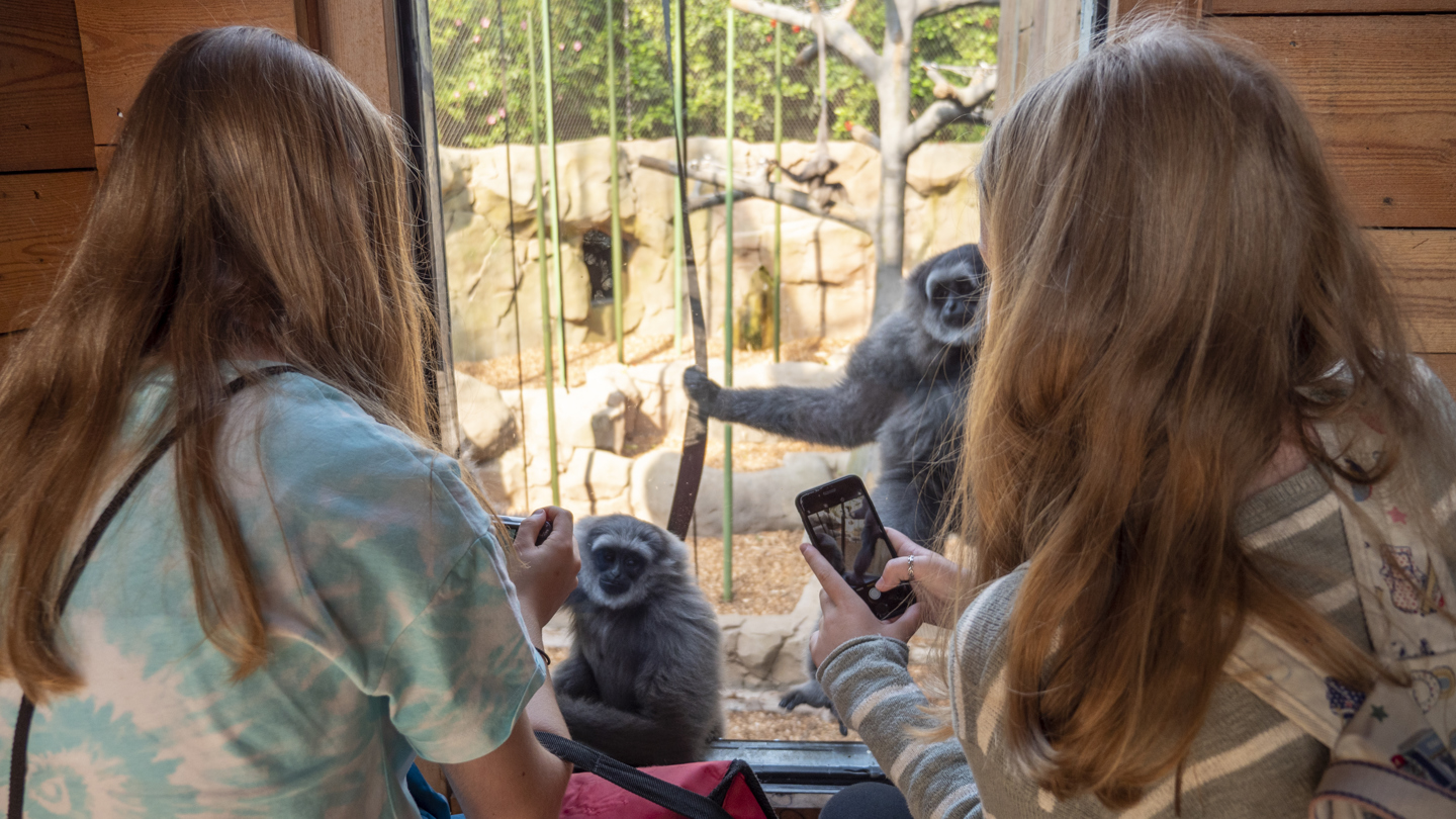 2108 CZ EO Summer School 014 (Education Officers, Steph Davies)