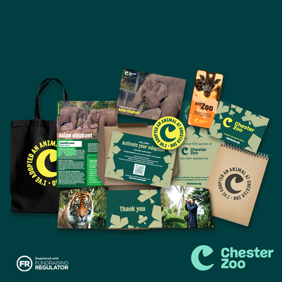 Adoption Landing Page Assets 1080X1080 Elephant 1400X1400