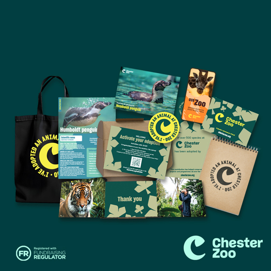 Asset Set 18 Packshot Penguin 1 1 (1)