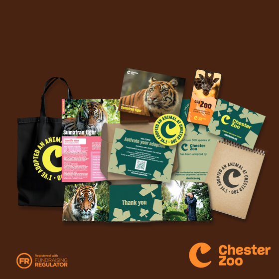 Adoption Landing Page Assets 1080X1080 Tiger