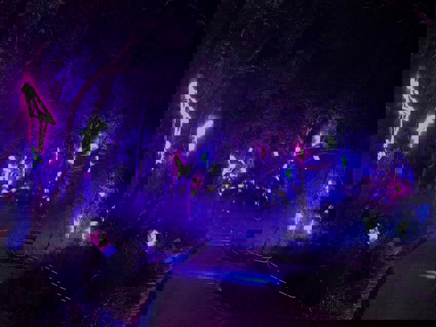 B0c4abbe 8Cb5 40E6 95Cc C5c400ae8693