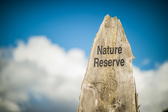 CBBC Star Naomi Wilkinson To Headline Chester Zoos FREE Family Wildlife Festival 14