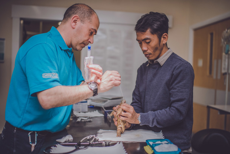 Chester Zoo Vets, Animal Health And Wellbeing, Science (4)