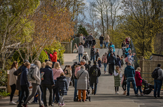 Chester Zoo Visitors