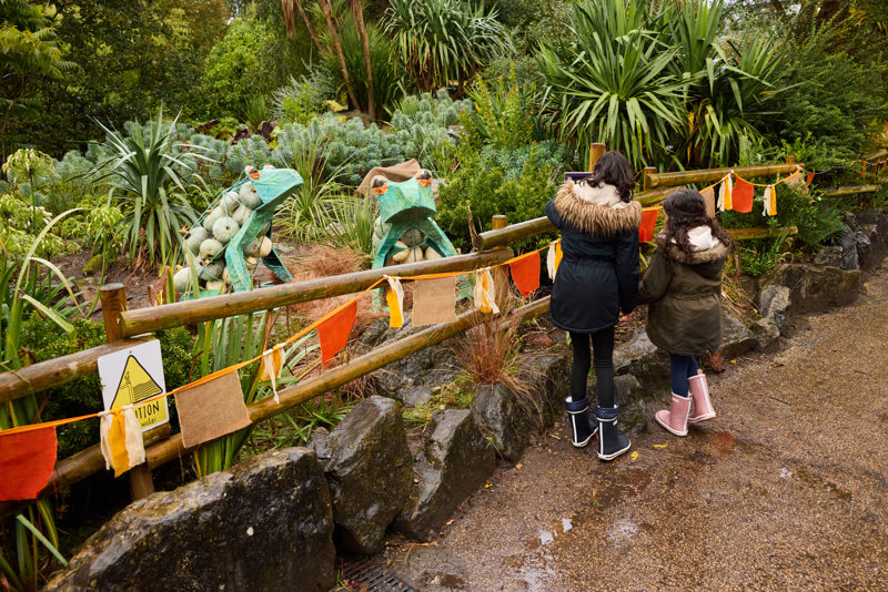 Chesterzooxhappylittlesoles Halloween Sept24 37