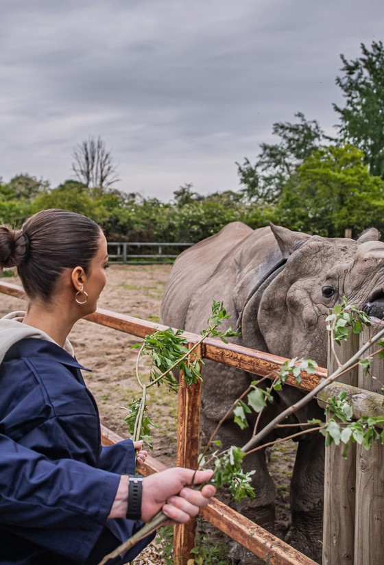 CZ Rhino Experience PORTRAIT