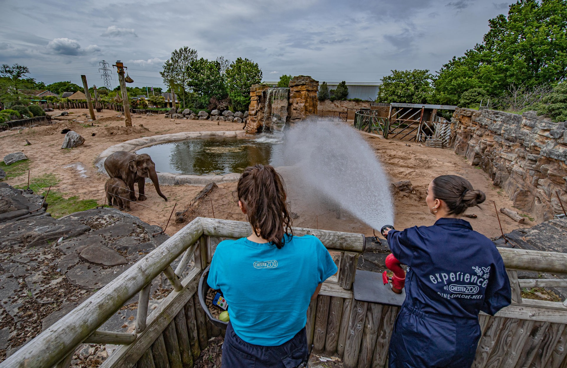Elephant Experience