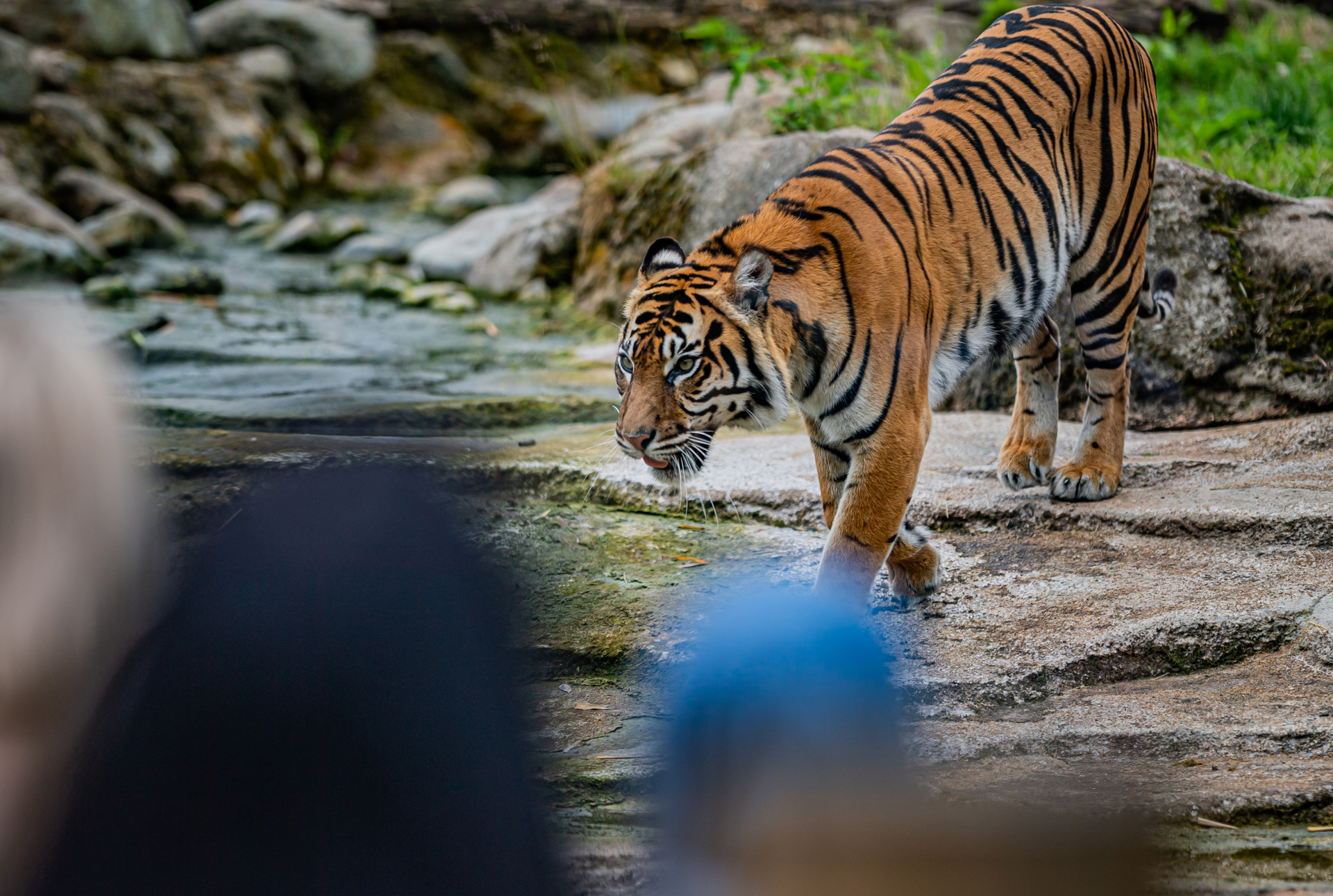 Experiences Tours 019