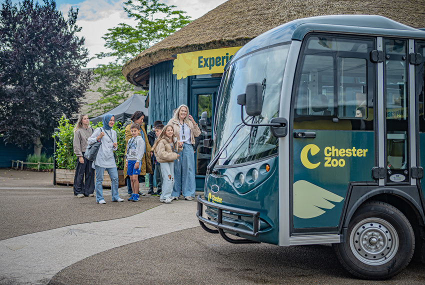 Experiences Tours 057