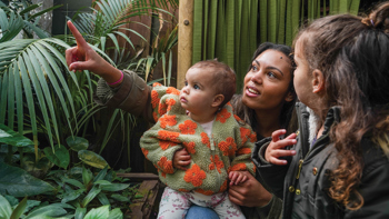 Family Pointing Into Habitat