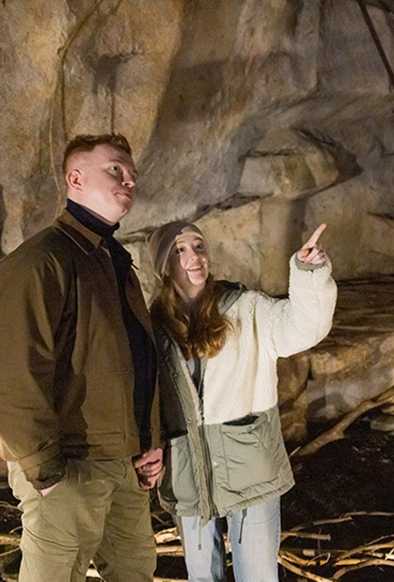 Fruit Bat Forest Resized (1)