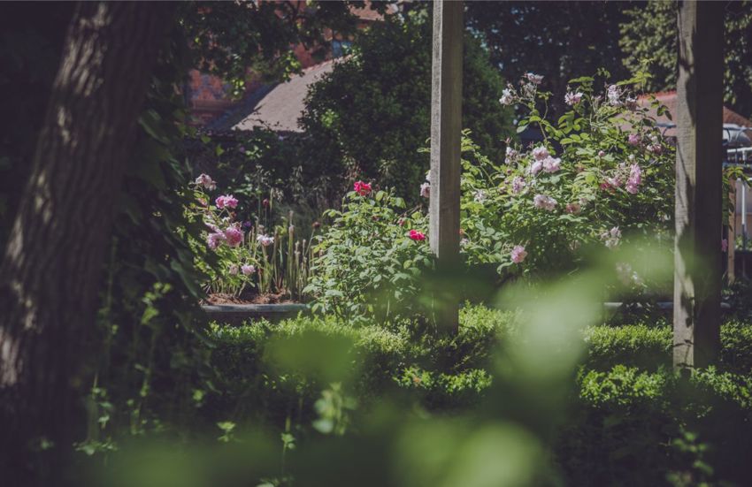 Garden By The Oakfield