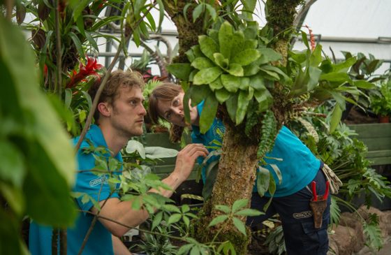 Garden011 1400X913 1