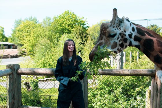 Giraffe Experience Participant