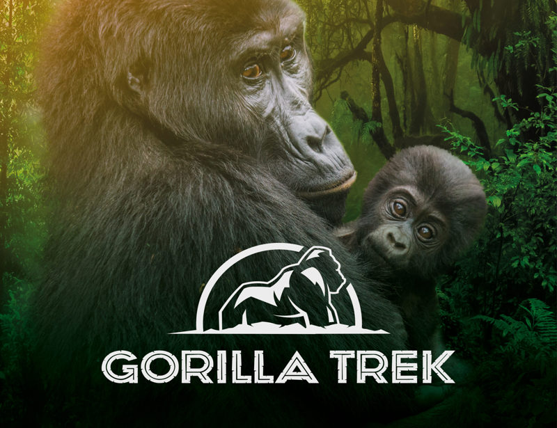 Gorilla Trek VR Title