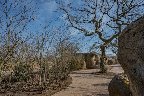 Heart Of Africa Plants