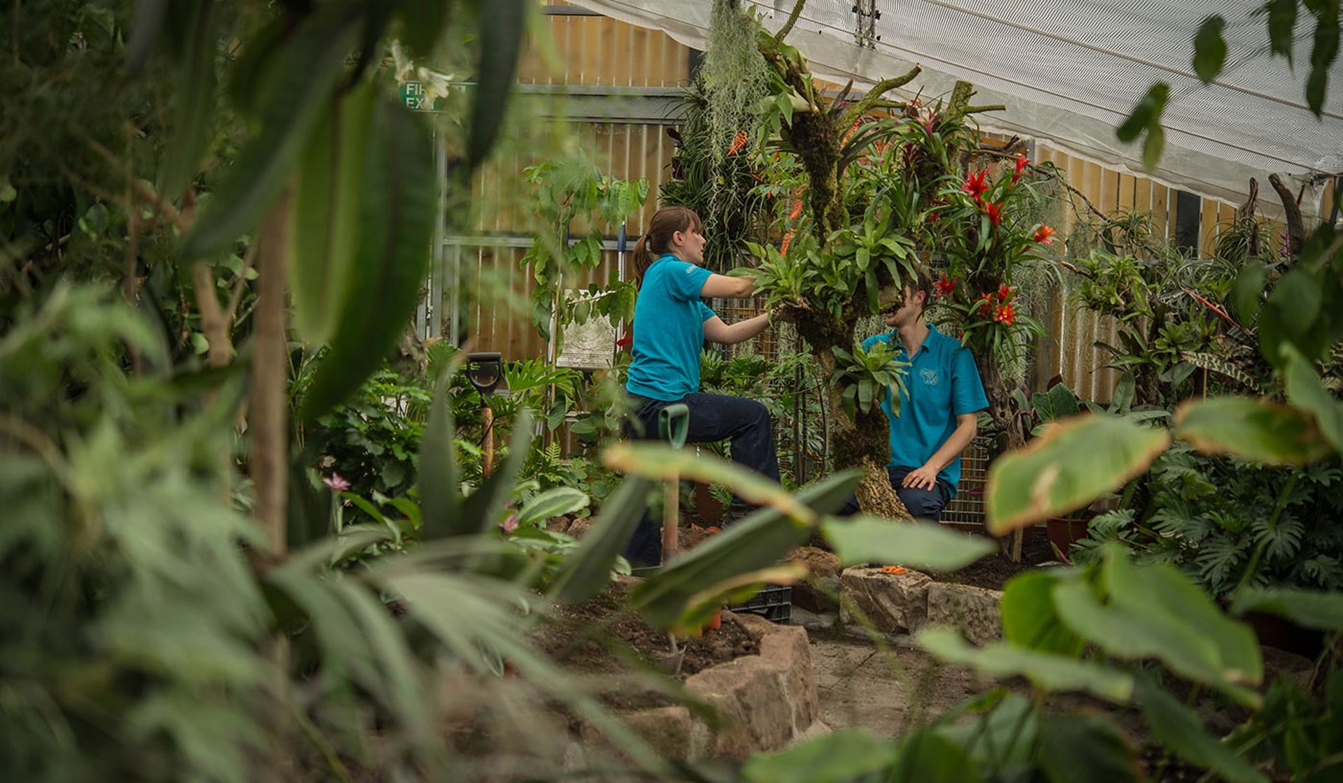 Horticulture Team Garden Image Desktop