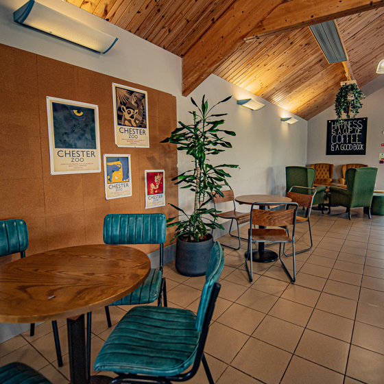 Inside Of Jaguar Coffee House