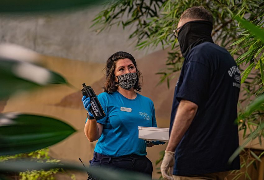 Komodo Experience 14