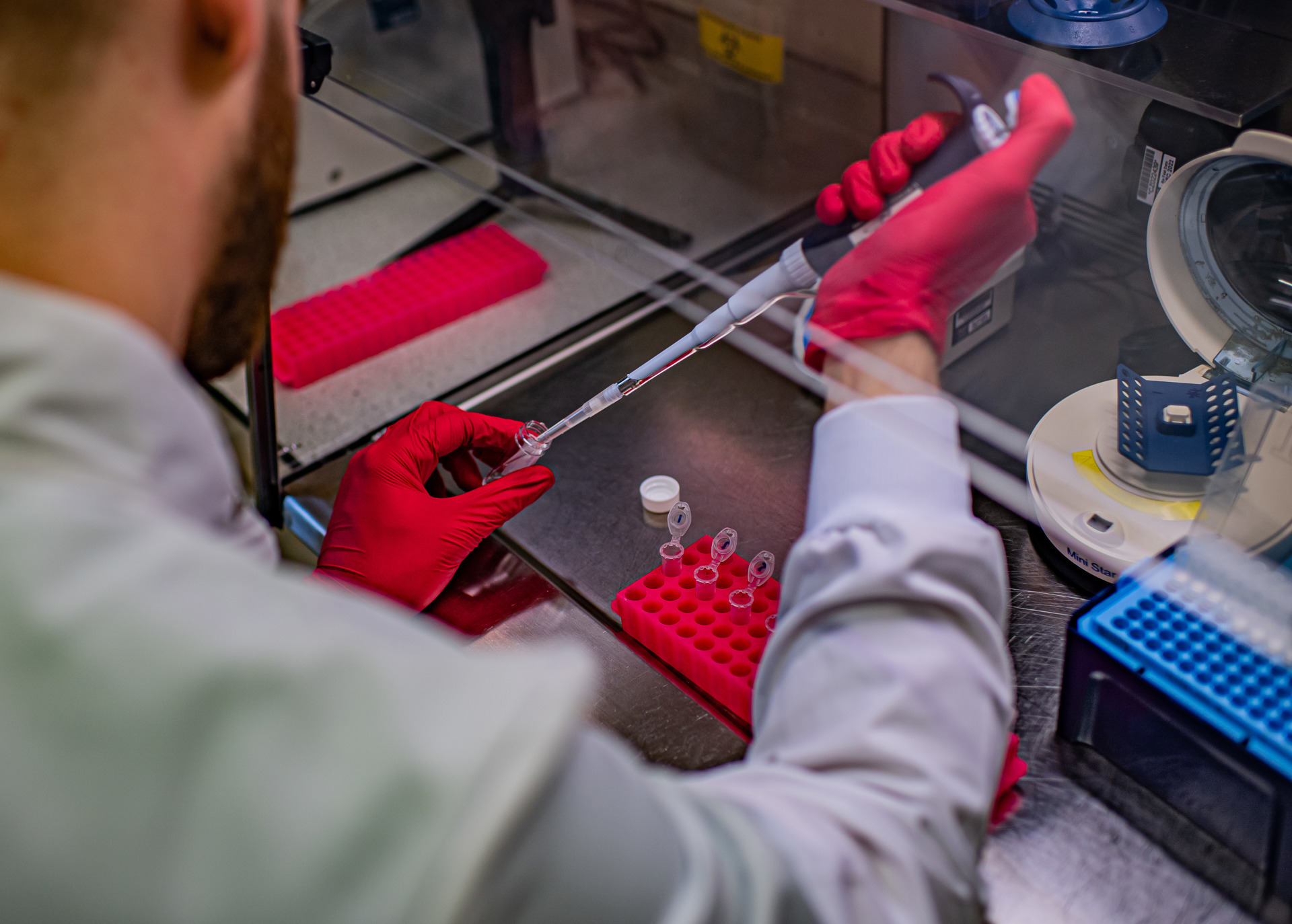 Lab Tech At Chester Zoo