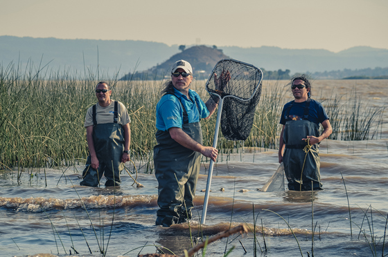 Lake Patzcuaro In Mexico Three Men Standing In The Water