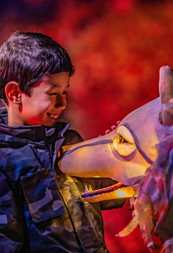 Lanterns And Light Boy And Wolf (Thumbnail)