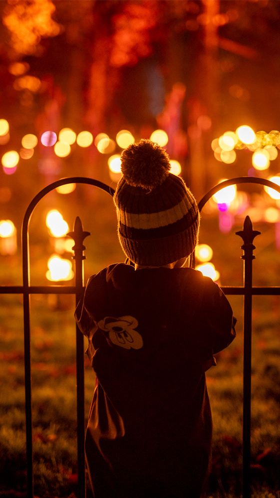 Lanterns And Light Fire Garden MOBILE