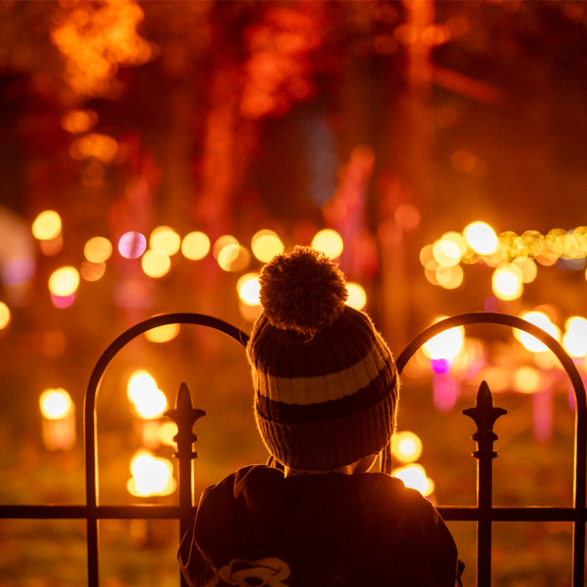 Lanterns And Light Fire Garden