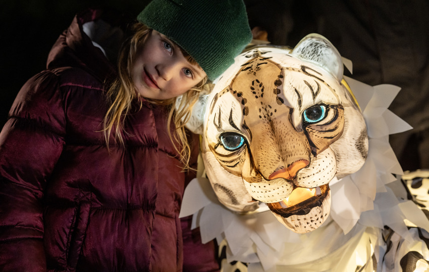 Lanterns Snow Leopard Puppet