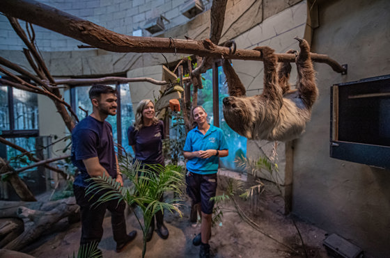 Latin America Expererience