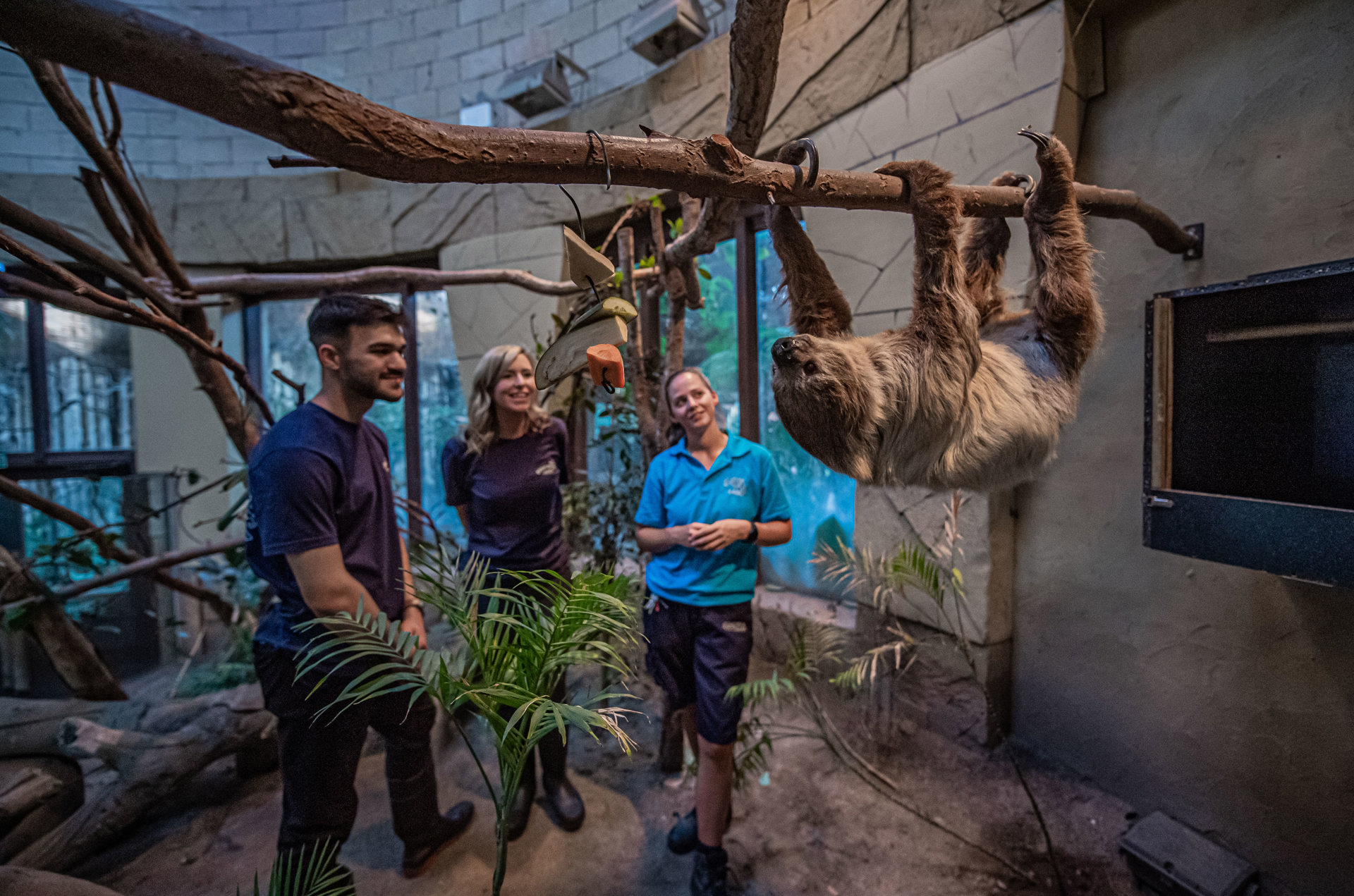 Latin America Expererience