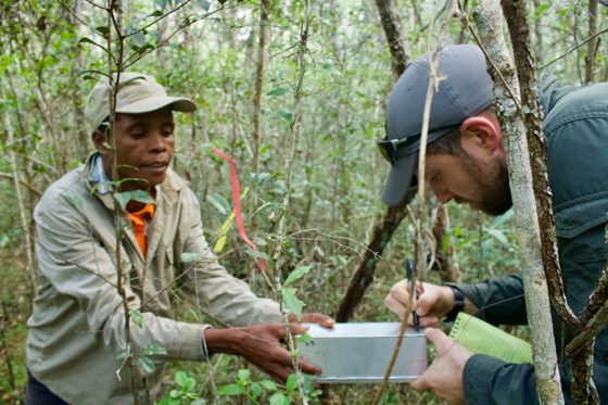 MADAGASCAR 1218 ACTION SHOTS Expedition Mangabe 30 Scaled