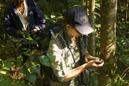 MADAGASCAR 1218 ACTION SHOTS LEMUR WALK SIOBHAN(Expedition, Mangabe) (26)