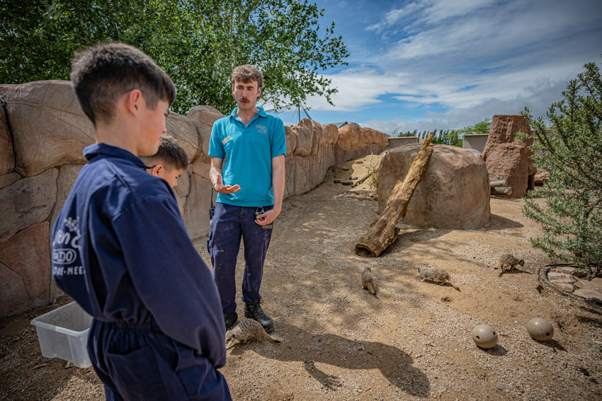 Meerkat Experience 033