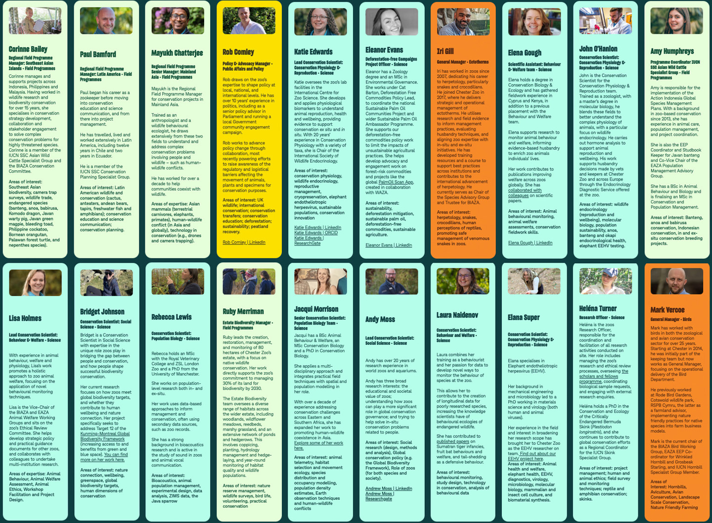 A graphic showing a grid of staff profiles. They include names, text and headshots