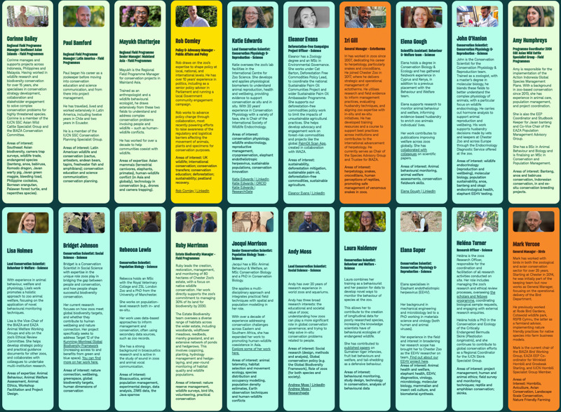 A graphic showing a grid of staff profiles. They include names, text and headshots