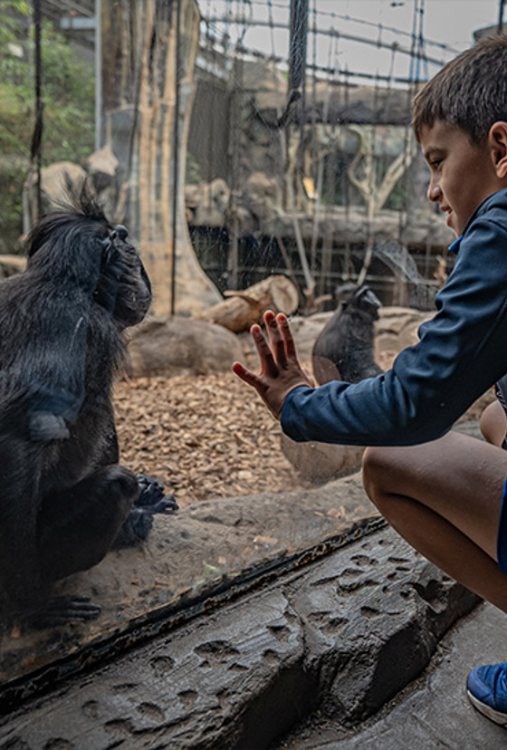 Monsoon Forest Resized (1)