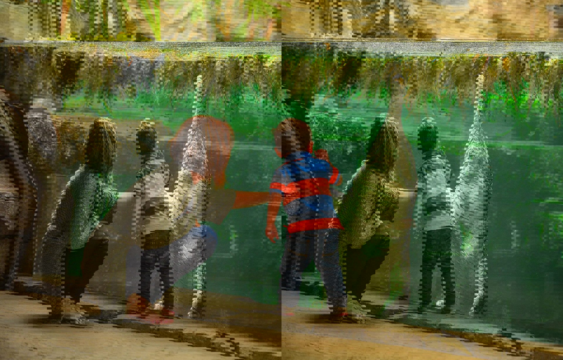Mother And Son Looking Into Gharial Pool