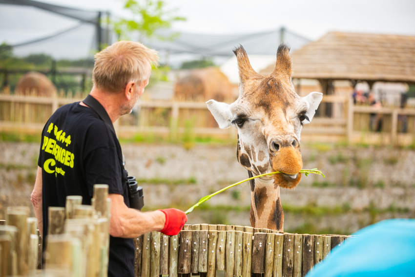 New Giraffe Experience 003