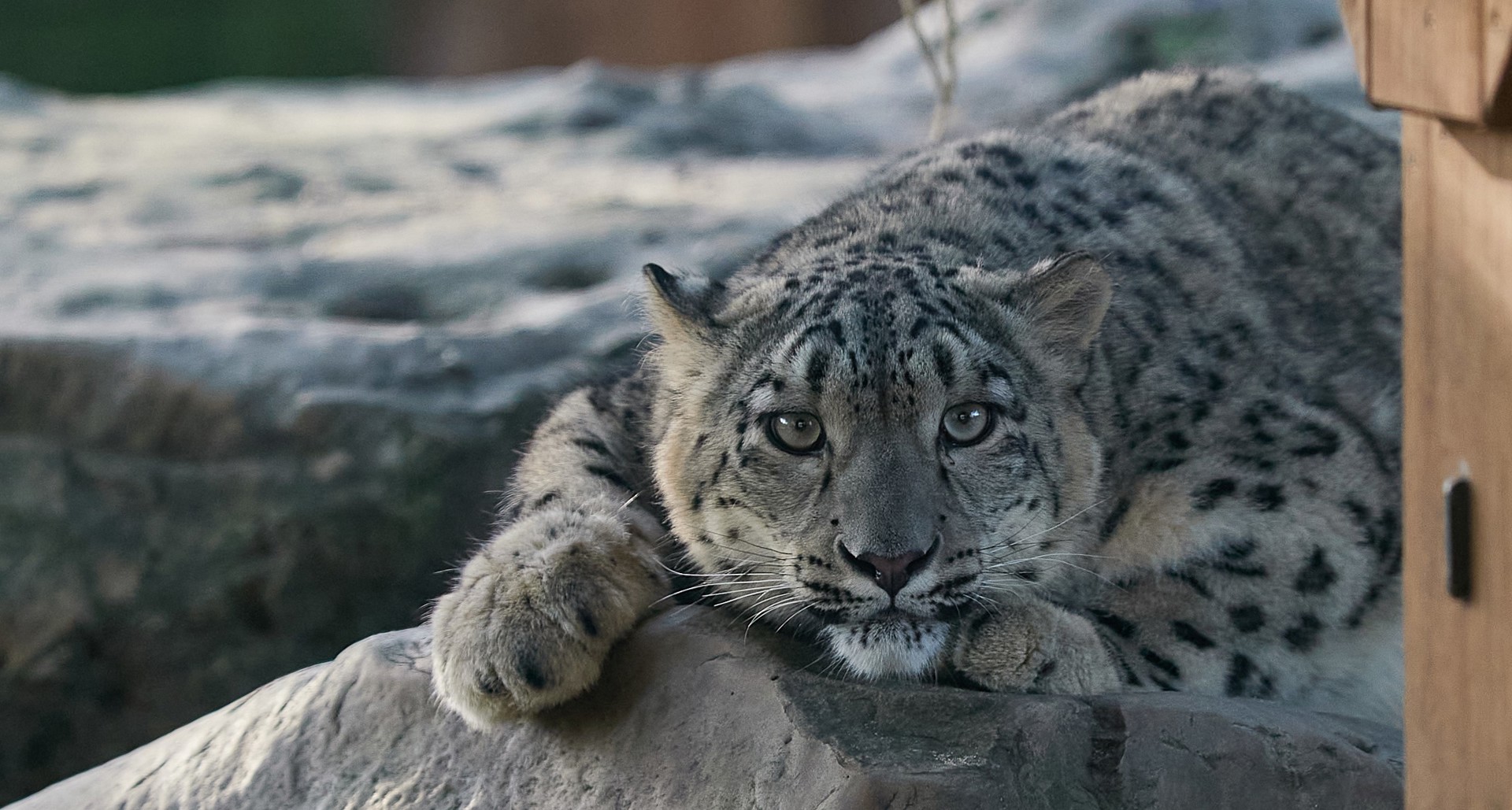 Nubra On January 8Th 2024 2 1