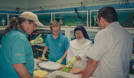 Patzcuaros Dominican Convent Nun Salamanders