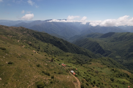 Pic Chester Zoo Celebrates Sweet Success For Bears & Bees Project Andean Landscape 1