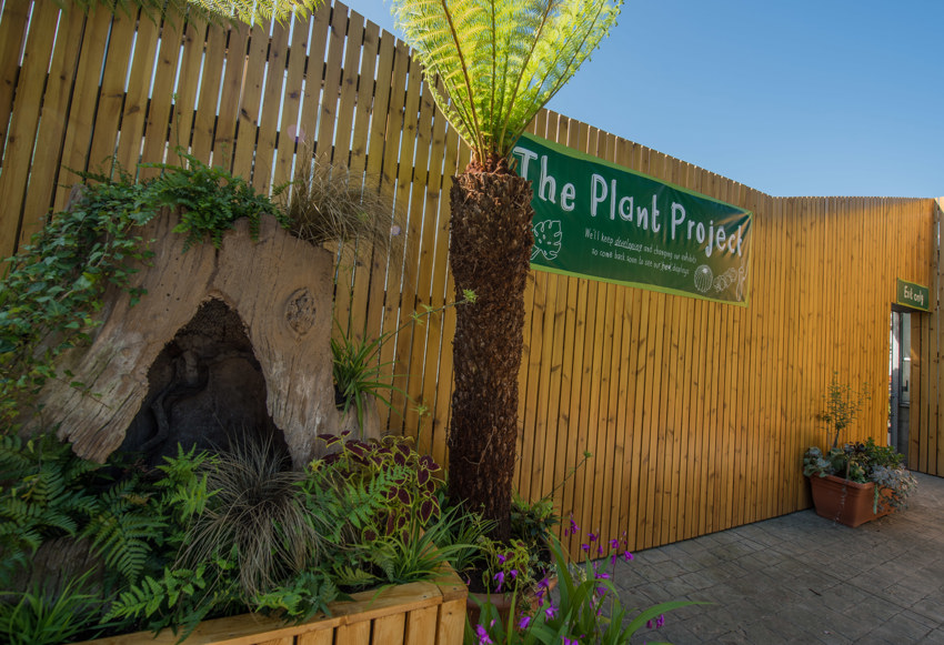 Plant Project Exterior