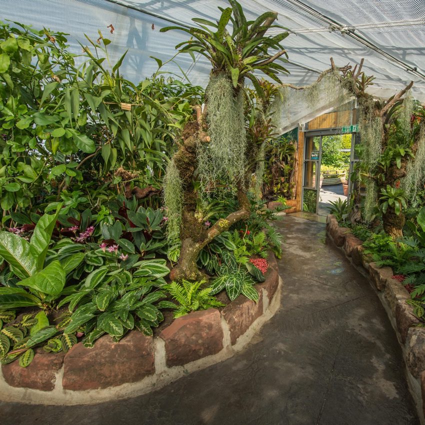 Plant Project SQUARE