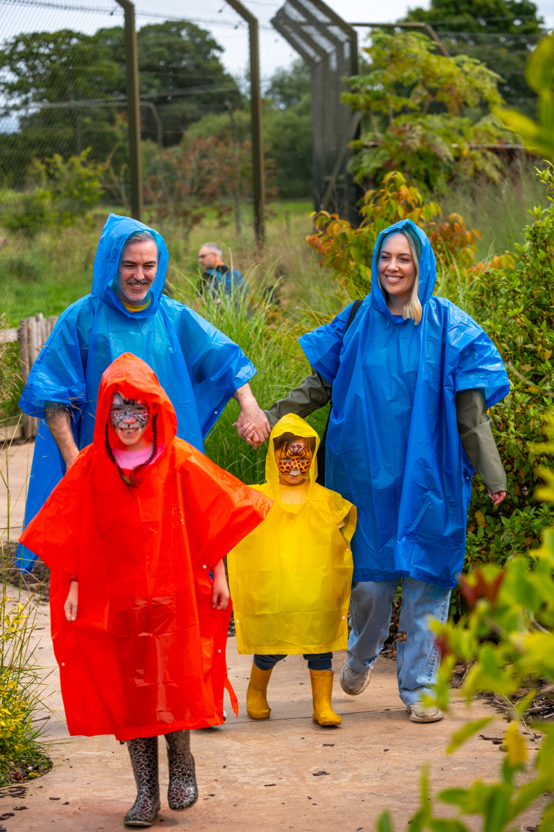 Rainyday 27 No Logos