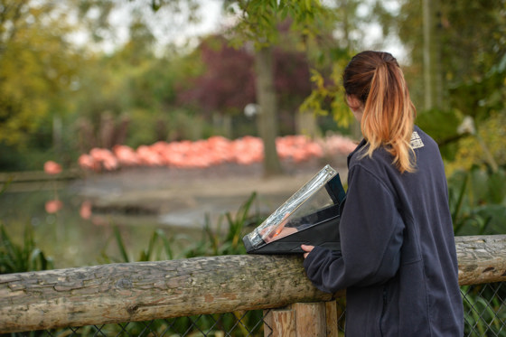 Recording Animal Behaviour