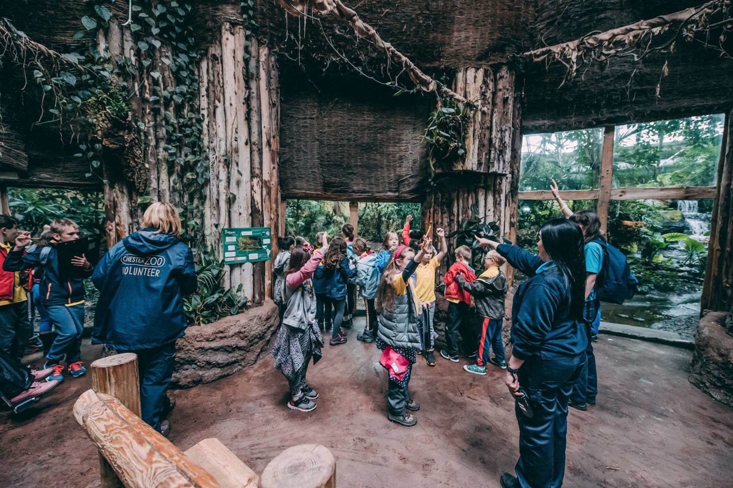 School Trip In The Jaguar House