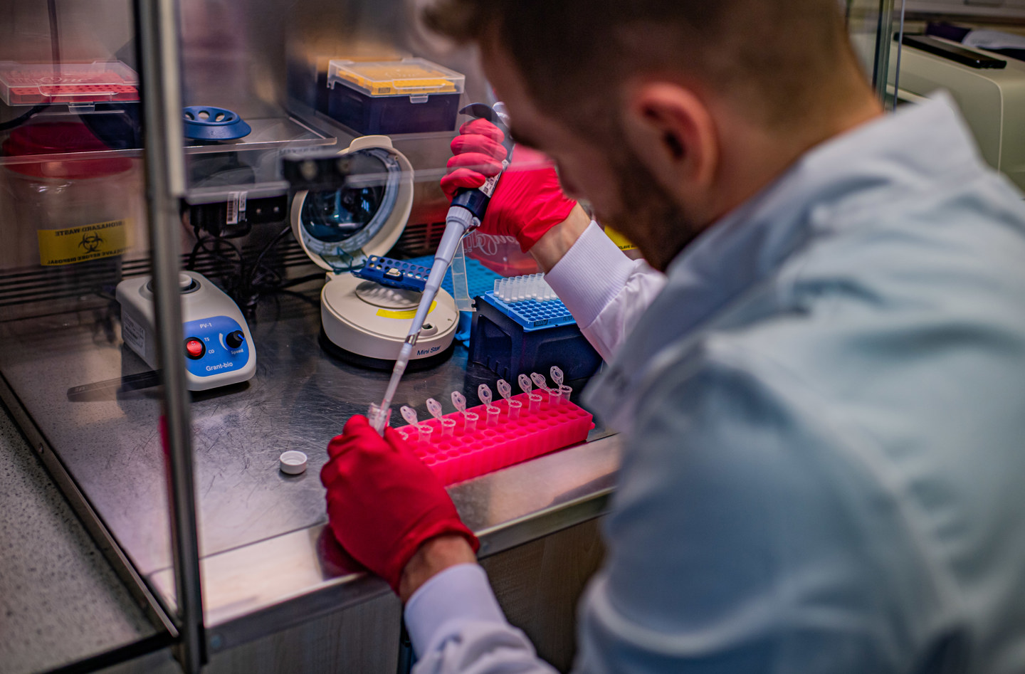 Science staff member using pipette to fill sample tubes 
